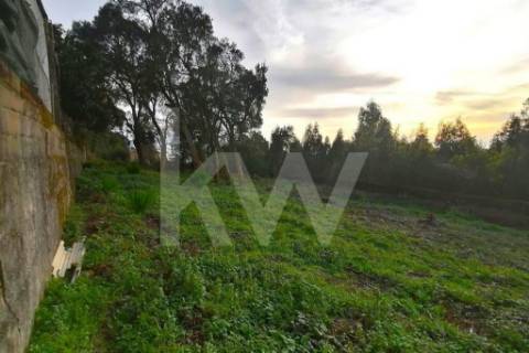 Excelente Terreno com 4 000 m2 em Grijó para construção de moradias