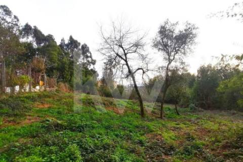 Excelente Terreno com 4 000 m2 em Grijó para construção de moradias