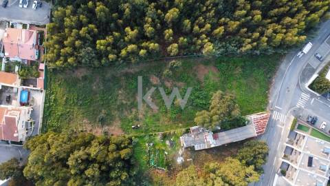 Excelente Terreno com 4 000 m2 em Grijó para construção de moradias