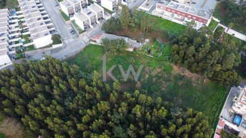 Excelente Terreno com 4 000 m2 em Grijó para construção de moradias