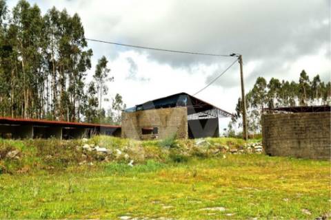 Terreno urbano com ruína, em Paços de Ferreira, com 12775 m2