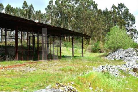 Terreno urbano com ruína, em Paços de Ferreira, com 12775 m2