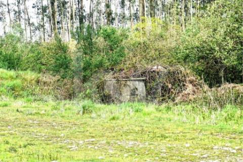 Terreno urbano com ruína, em Paços de Ferreira, com 12775 m2