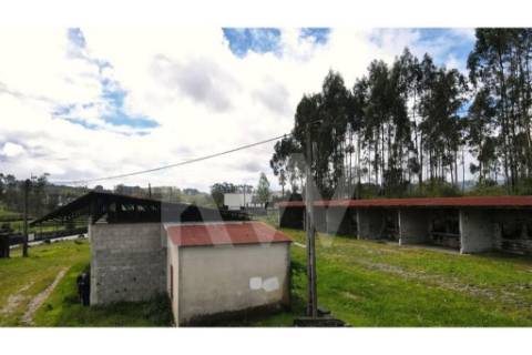 Terreno urbano com ruína, em Paços de Ferreira, com 12775 m2