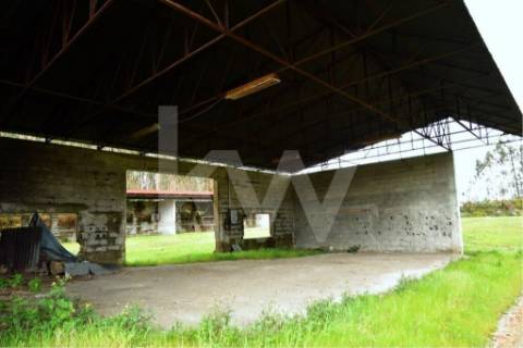 Terreno urbano com ruína, em Paços de Ferreira, com 12775 m2