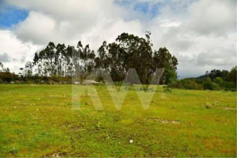 Terreno urbano com ruína, em Paços de Ferreira, com 12775 m2