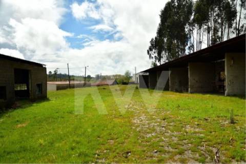 Terreno urbano com ruína, em Paços de Ferreira, com 12775 m2