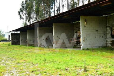 Terreno urbano com ruína, em Paços de Ferreira, com 12775 m2