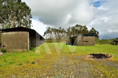 Terreno urbano com ruína, em Paços de Ferreira, com 12775 m2