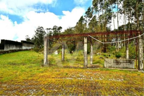 Terreno urbano com ruína, em Paços de Ferreira, com 12775 m2