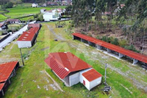 Terreno urbano com ruína, em Paços de Ferreira, com 12775 m2
