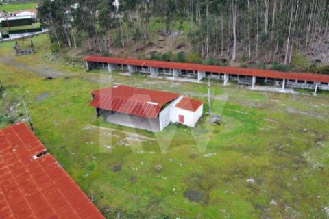 Terreno urbano com ruína, em Paços de Ferreira, com 12775 m2