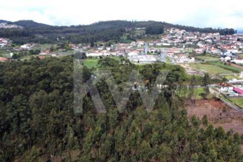 Terreno urbano com ruína, em Paços de Ferreira, com 12775 m2