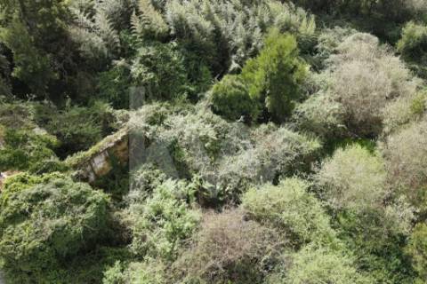 Terreno para construção em LOUROSA para 16 moradias unifamiliares