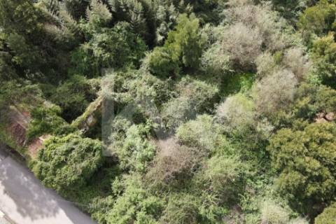 Terreno para construção em LOUROSA para 16 moradias unifamiliares