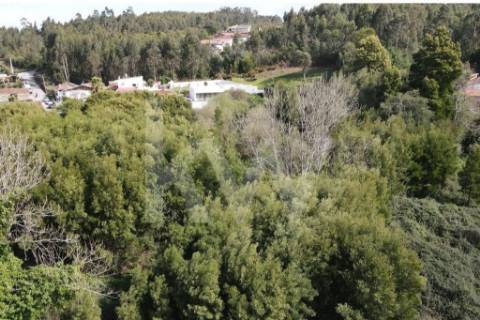 Terreno para construção em LOUROSA para 16 moradias unifamiliares