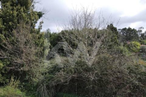 Terreno para construção em LOUROSA para 16 moradias unifamiliares