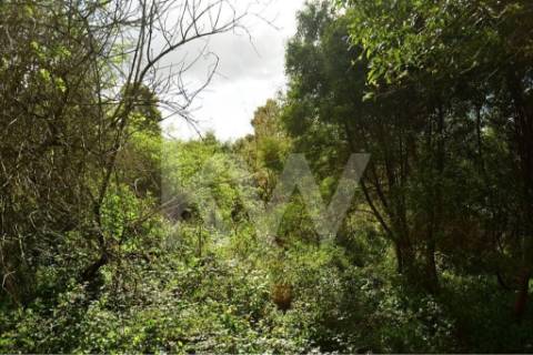 Terreno para construção em LOUROSA para 16 moradias unifamiliares