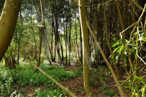 Terreno para construção em LOUROSA para 16 moradias unifamiliares