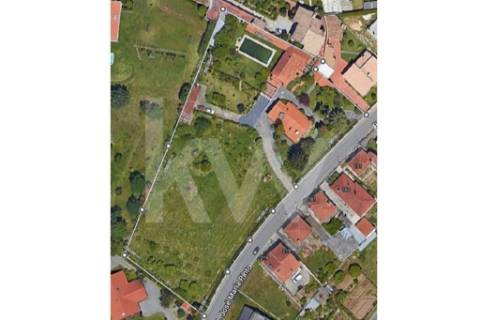 Moradia T7 em Santiago da Riba-UI com piscina e grande jardim