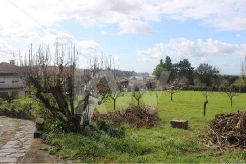 Moradia T7 em Santiago da Riba-UI com piscina e grande jardim