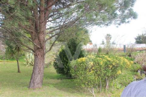 Moradia T7 em Santiago da Riba-UI com piscina e grande jardim