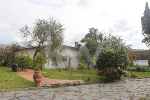 Moradia T7 em Santiago da Riba-UI com piscina e grande jardim