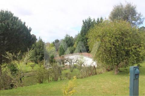 Moradia T7 em Santiago da Riba-UI com piscina e grande jardim