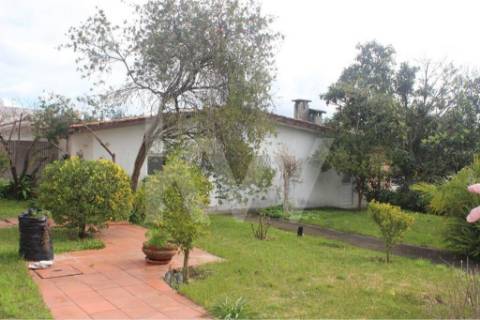 Moradia T7 em Santiago da Riba-UI com piscina e grande jardim