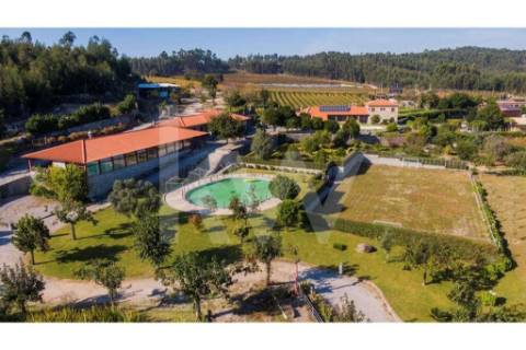 Quinta para turismo rural, eventos e produção de vinho em Guimarães