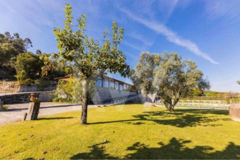 Quinta para turismo rural, eventos e produção de vinho em Guimarães