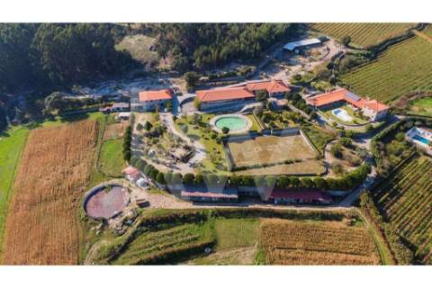 Quinta para turismo rural, eventos e produção de vinho em Guimarães