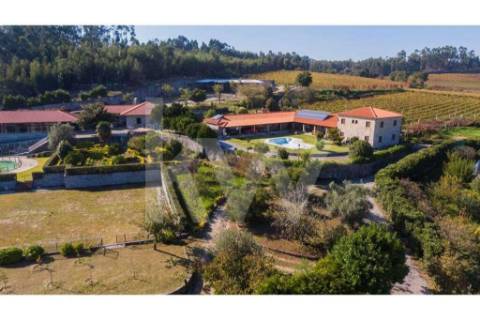 Quinta para turismo rural, eventos e produção de vinho em Guimarães