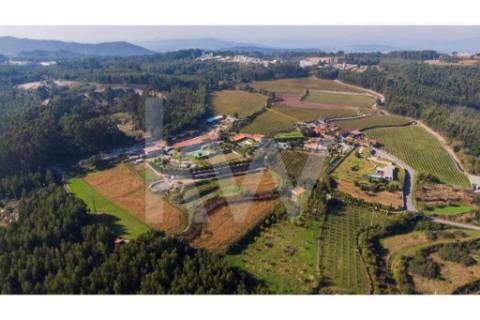 Quinta para turismo rural, eventos e produção de vinho em Guimarães