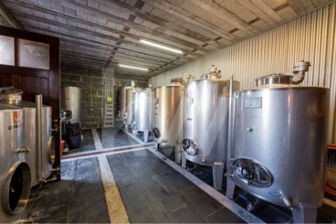 Quinta para turismo rural, eventos e produção de vinho em Guimarães