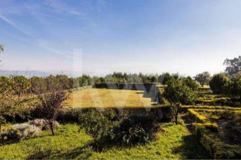 Quinta para turismo rural, eventos e produção de vinho em Guimarães