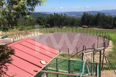 Quinta para turismo rural, eventos e produção de vinho em Guimarães