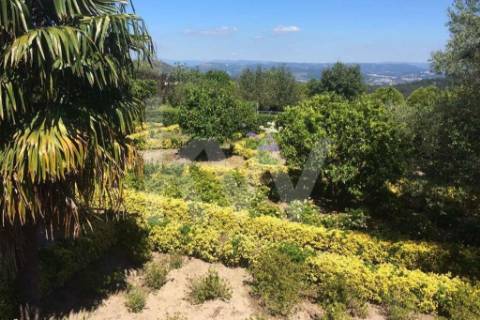 Quinta para turismo rural, eventos e produção de vinho em Guimarães