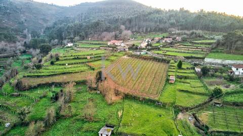  Moradia T4 Projetada pelo Ilustre Arquiteto Oscar Niemeyer em Chaviães  Melgaço