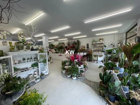 OPORTUNIDADE - VENDA DE ESPAÇO COMERCIAL COM CAVE E GARAGEM (AV ANTUNES GUIMARÃES)