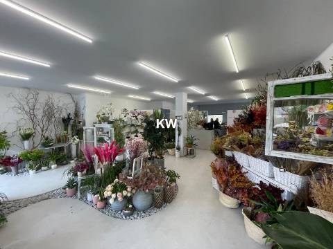 OPORTUNIDADE - VENDA DE ESPAÇO COMERCIAL COM CAVE E GARAGEM (AV ANTUNES GUIMARÃES)