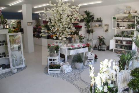 OPORTUNIDADE - VENDA DE ESPAÇO COMERCIAL COM CAVE E GARAGEM (AV ANTUNES GUIMARÃES)