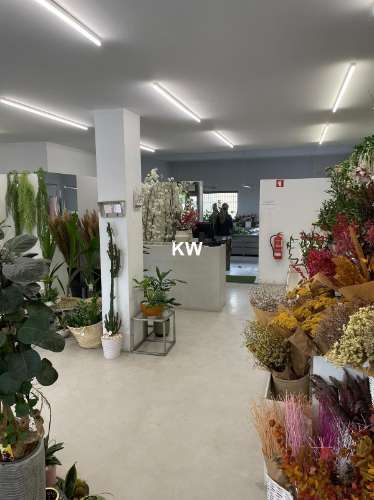 OPORTUNIDADE - VENDA DE ESPAÇO COMERCIAL COM CAVE E GARAGEM (AV ANTUNES GUIMARÃES)