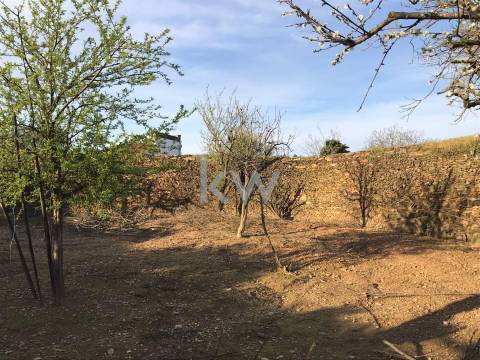 Quinta de Charme para venda - Perfeita para reabilitar e investir