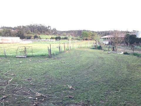 Quinta de Charme para venda - Perfeita para reabilitar e investir