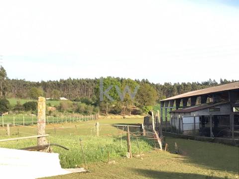 Quinta de Charme para venda - Perfeita para reabilitar e investir