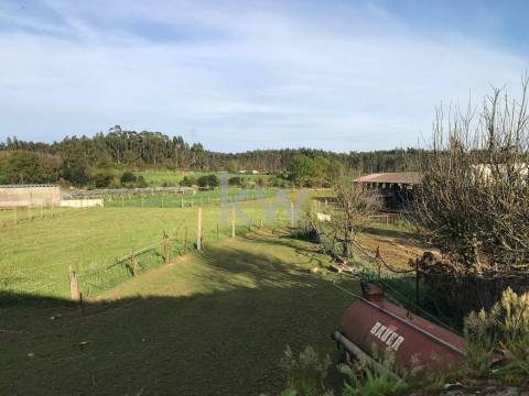 Quinta de Charme para venda - Perfeita para reabilitar e investir