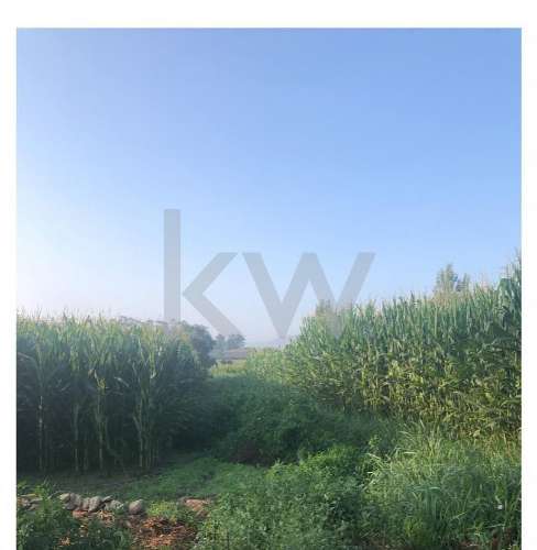 Quinta de Charme para venda - Perfeita para reabilitar e investir