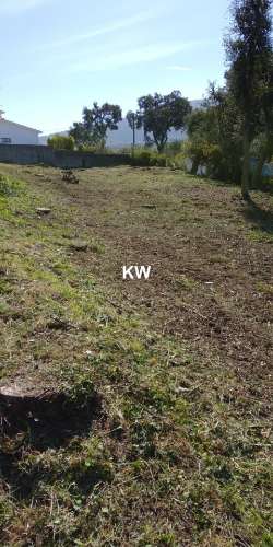 Terreno com projeto aprovado para moradia T3