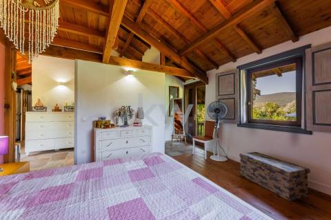 Quinta recatada com piscina num lote de 4.000 m2 ajardinados com 2 casas